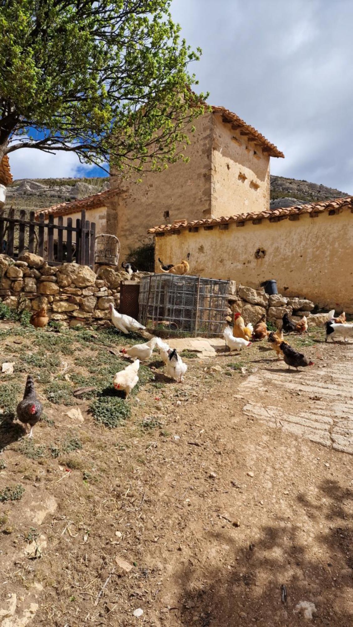 La Casa Del Bosque Alcalá de la Selva Exterior foto